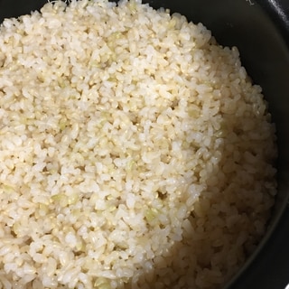 塩麹と炊くもちもち玄米